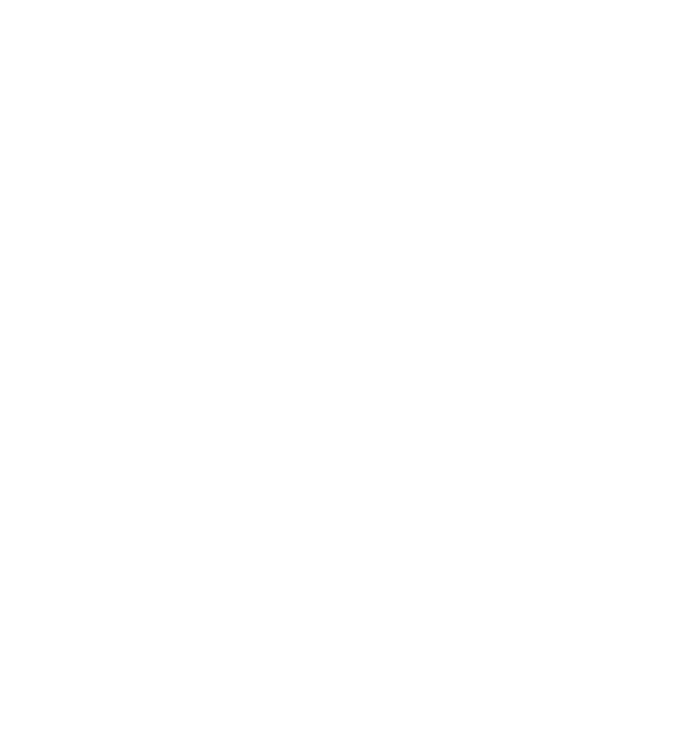 ElvisRakennus Logo Valkoinen ElvisRakennus Logo Valkoinesella läpinäkyvällä taustalla