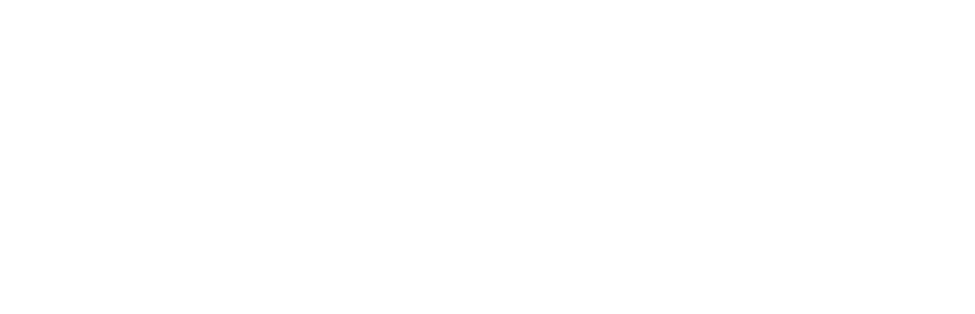 Elvis Rakennus